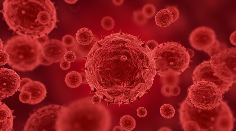 ��ֳ����Ⱦ